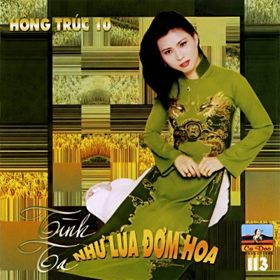 CDCD113 - Hong Truc 10 - Tinh ta nhu lua dom hoa